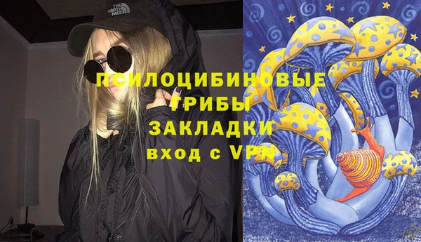 ECSTASY Коряжма