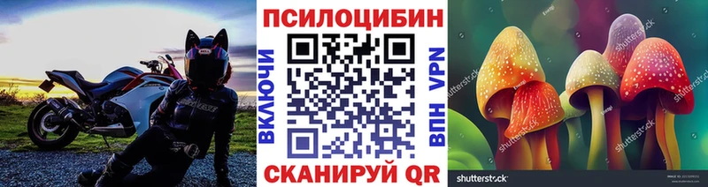 Псилоцибиновые грибы прущие грибы  Купить закладки  Высоковск 